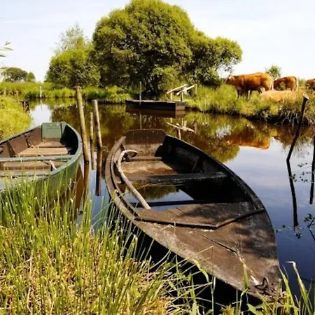 Petit A La Campagne Proche Missillac